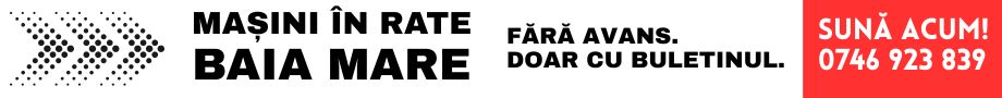 MAȘINI ÎN RATE BAIA MARE (11)