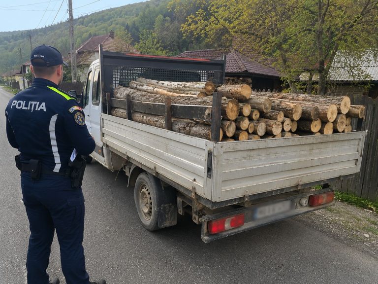 Bărbat de 46 de ani, sancționat după ce transporta lemne fără documente în Cornești, Maramureș