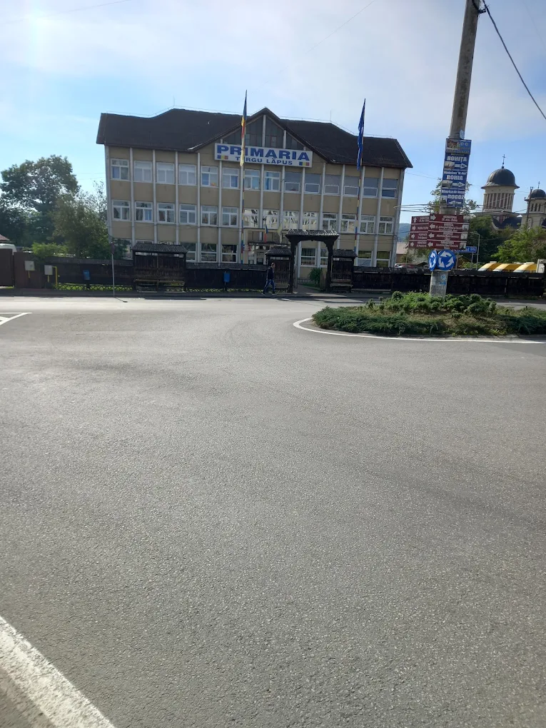 Se caută inspector, salvamar și muncitor calificat la Primăria Târgu Lăpuș: dosarele se depun până în 9 iunie
