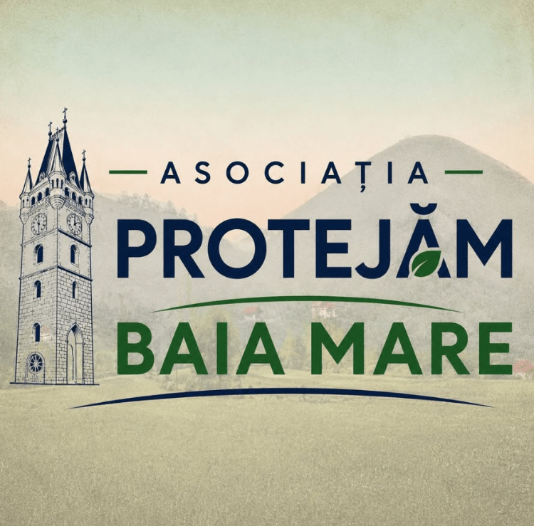 Cine vrea să apere clădirile vechi ale Băii Mari de dezvoltarea haotică? S-a fondat o nouă asociație civică