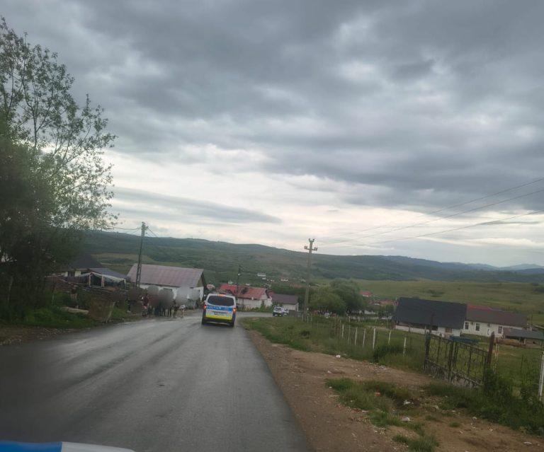 FOTO Două cabaline, ridicate după controale privind bunăstarea animalelor în Vălenii Lăpușului