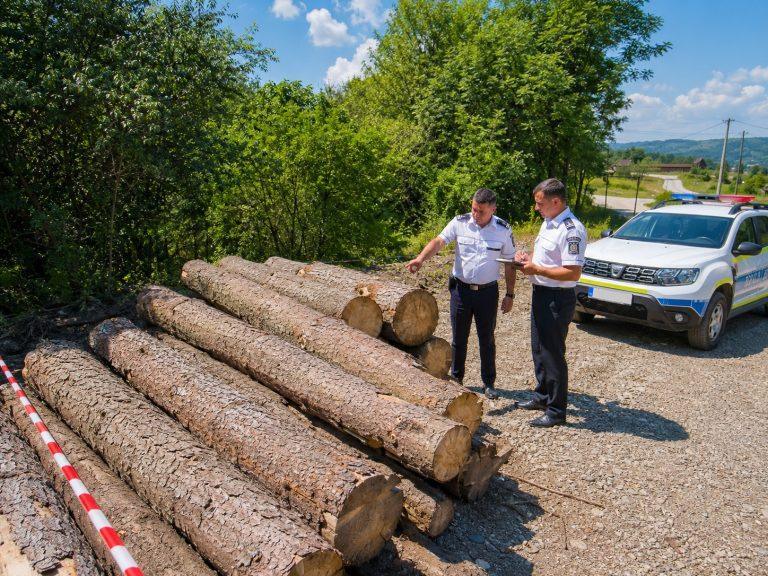 Polițiștii au găsit lemnul, dar nu și autoutilitara: ce s-a întâmplat luni, 17 august, în Baia Mare